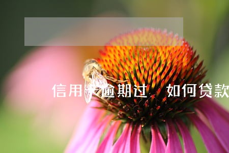 信用卡逾期过 如何贷款买房 信用卡逾期过 如何贷款买房
